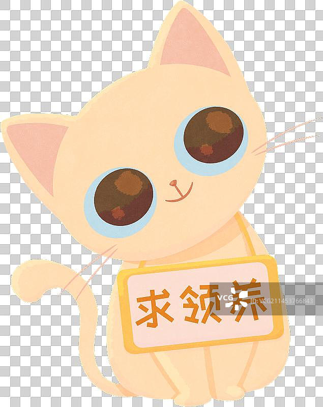 可爱歪头白猫求领养图片素材