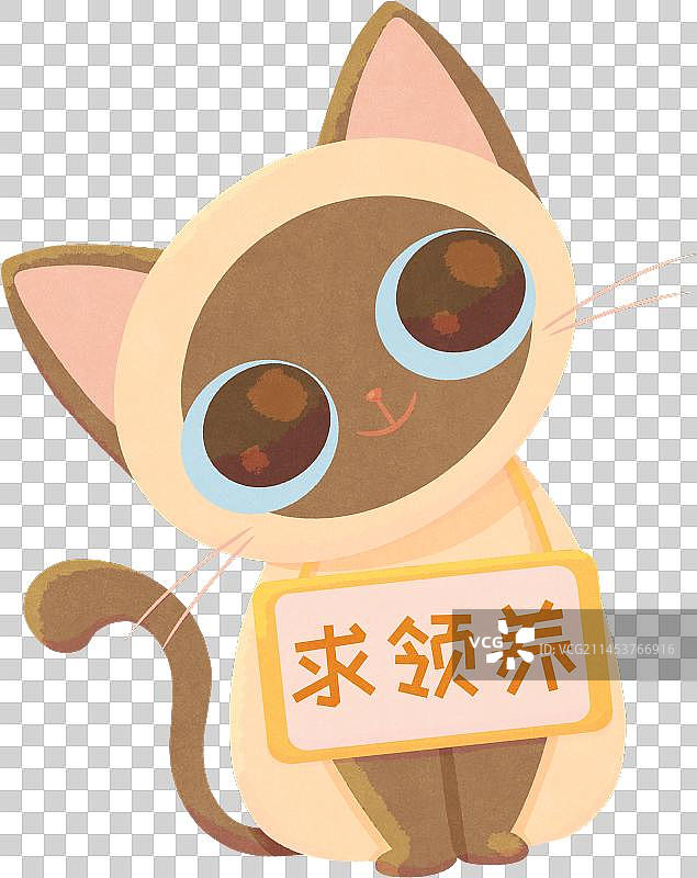 可爱歪头暹罗猫求领养图片素材