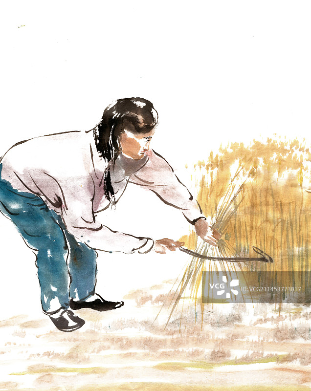 割麦子的女子图片素材