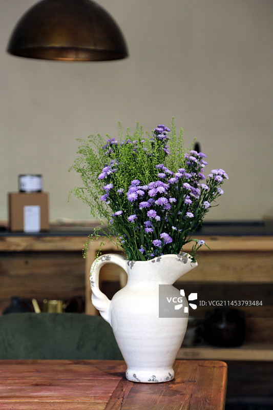 清新紫色野花图片素材