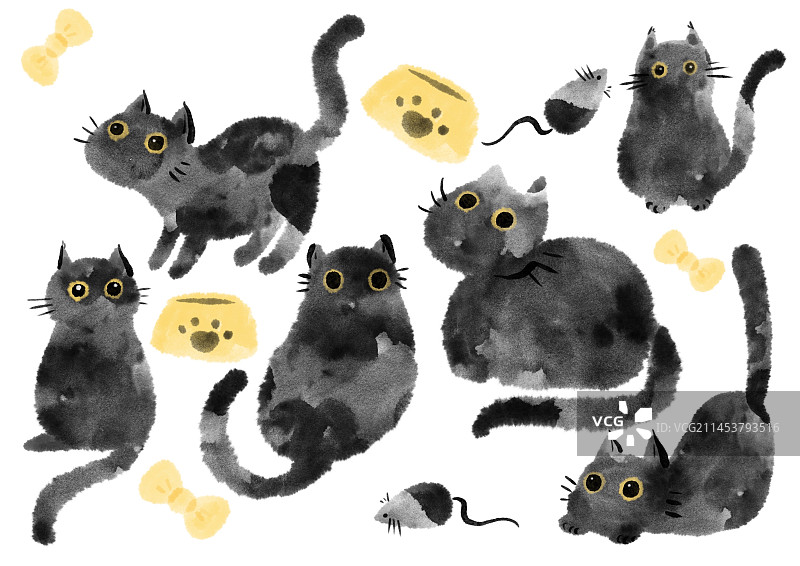 宠物猫咪图片素材