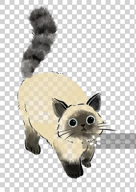猫咪插画元素图片素材