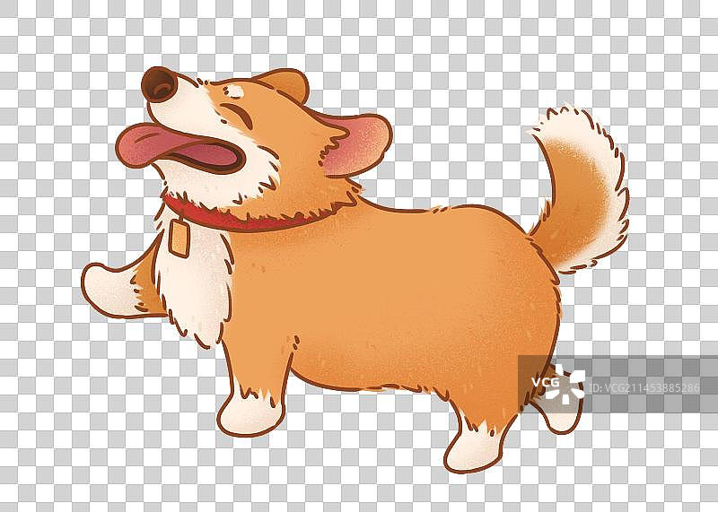 卡通柯基图片素材