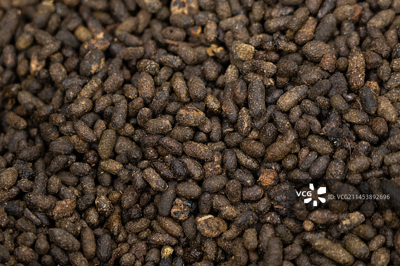 中药材五灵脂图片素材