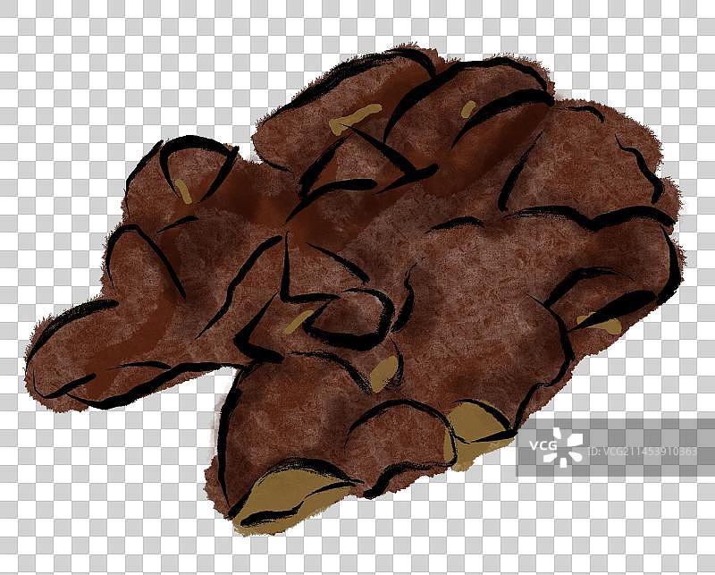 琥珀核桃仁图片素材