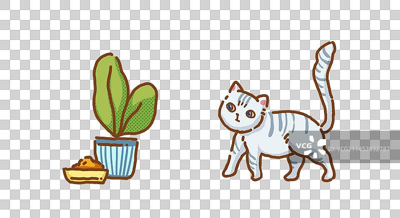 猫和盆栽图片素材