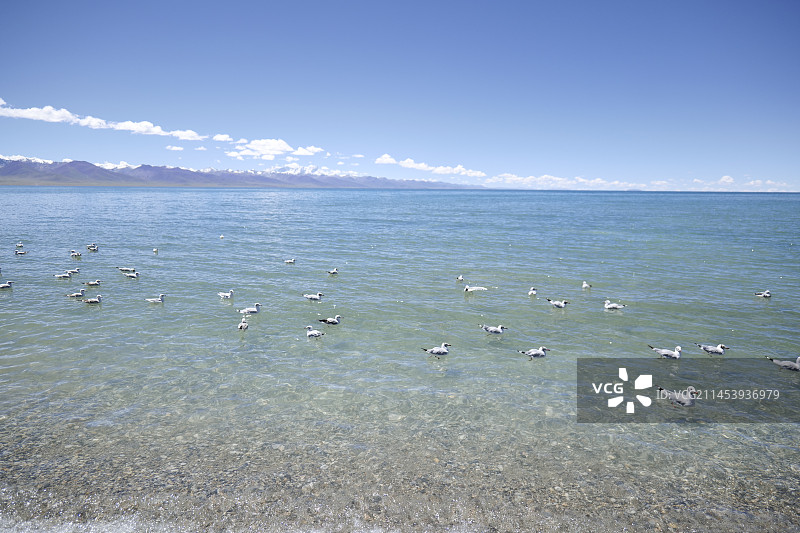 纳木错 扎西岛图片素材