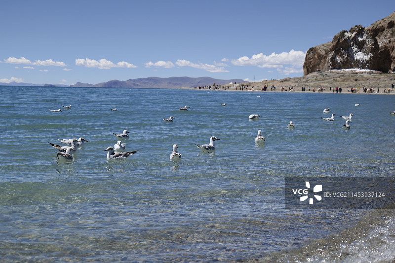 纳木错 扎西岛图片素材