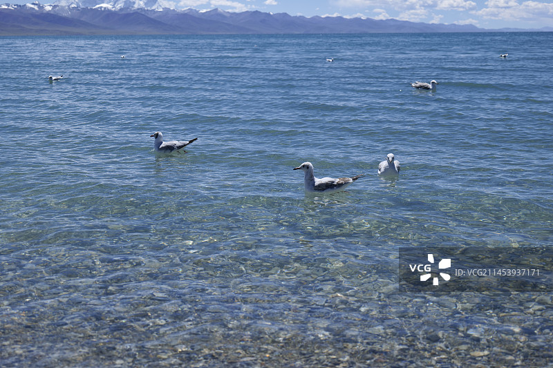 纳木错 扎西岛图片素材