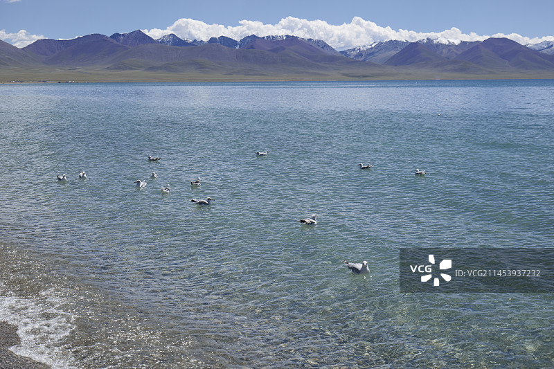 纳木错 扎西岛图片素材