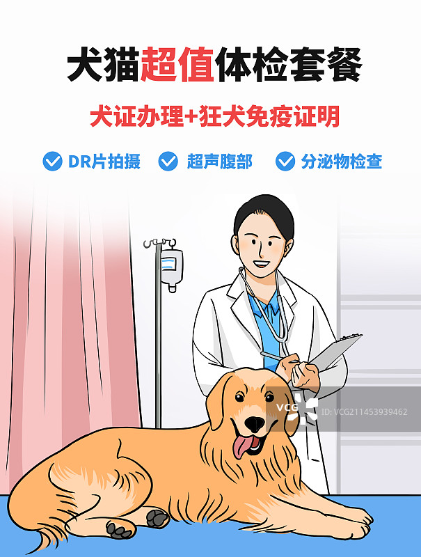宠物体检活动猫狗插画漫画医生金毛套餐海报图片素材