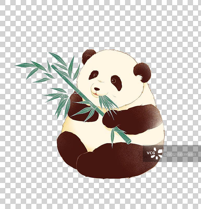 熊猫，吃竹子，国宝图片素材