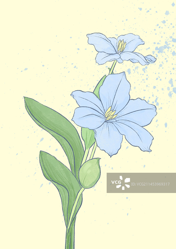 植物花卉插画图片素材