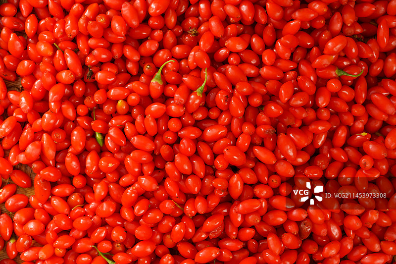 白色背景下的新鲜枸杞子图片素材