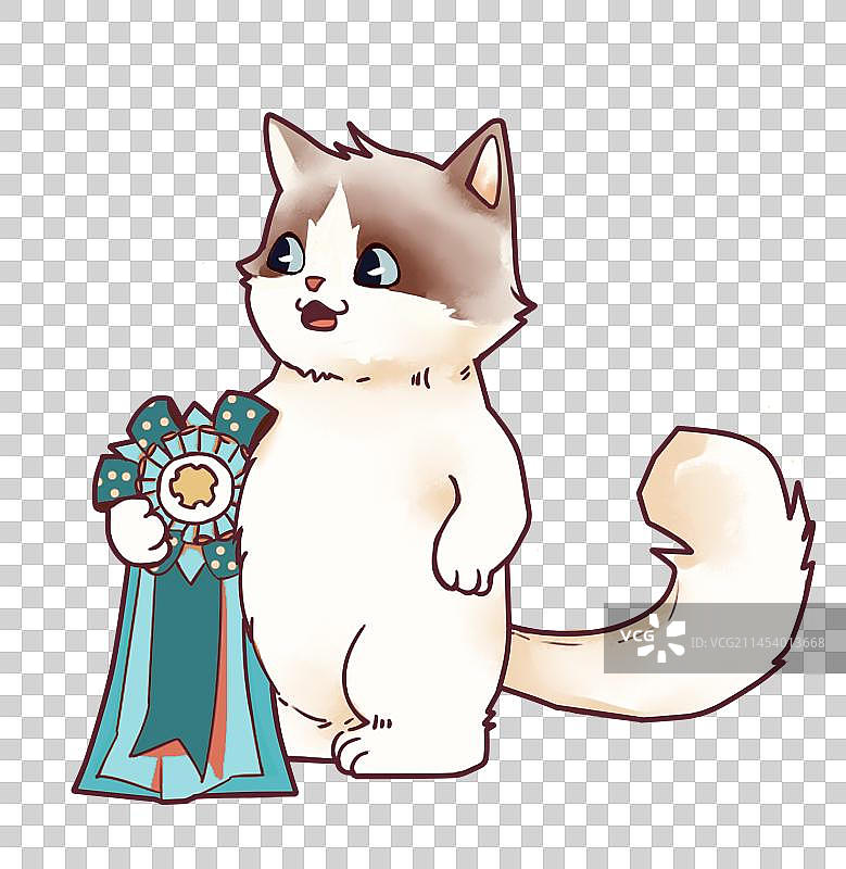赛级猫获奖图片素材