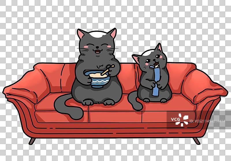 猫咪父子图片素材
