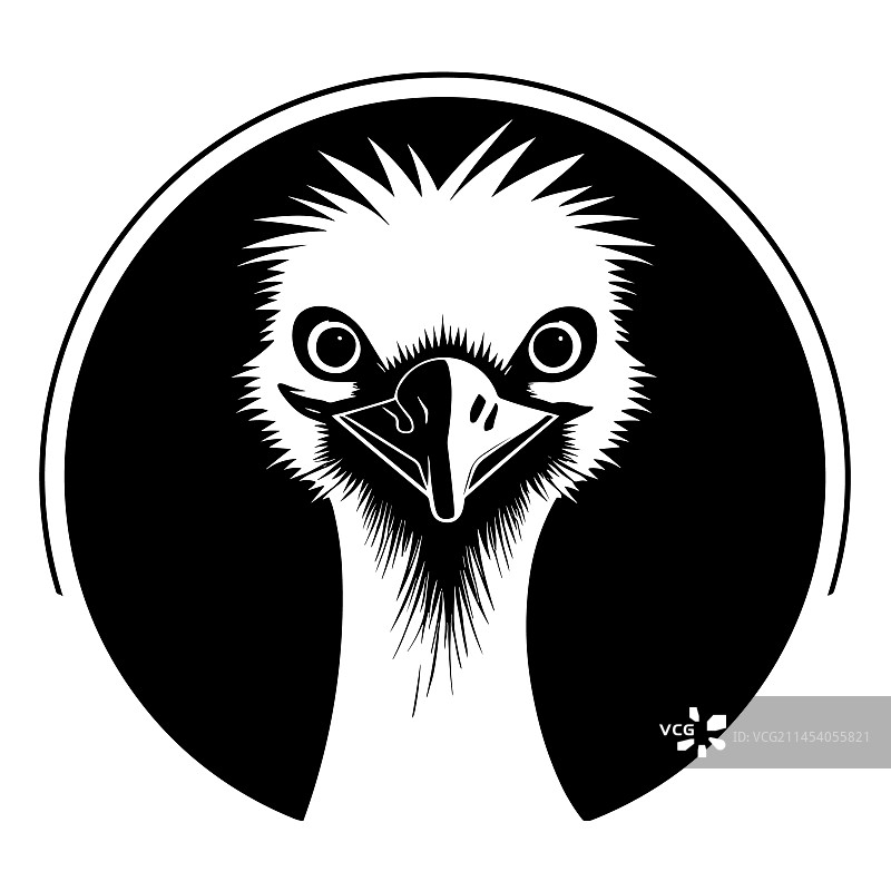 鸵鸟剪影图片素材