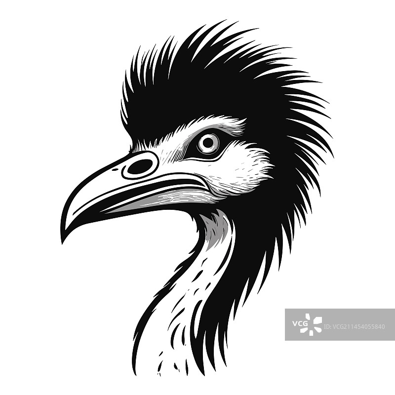 鸵鸟剪影图片素材