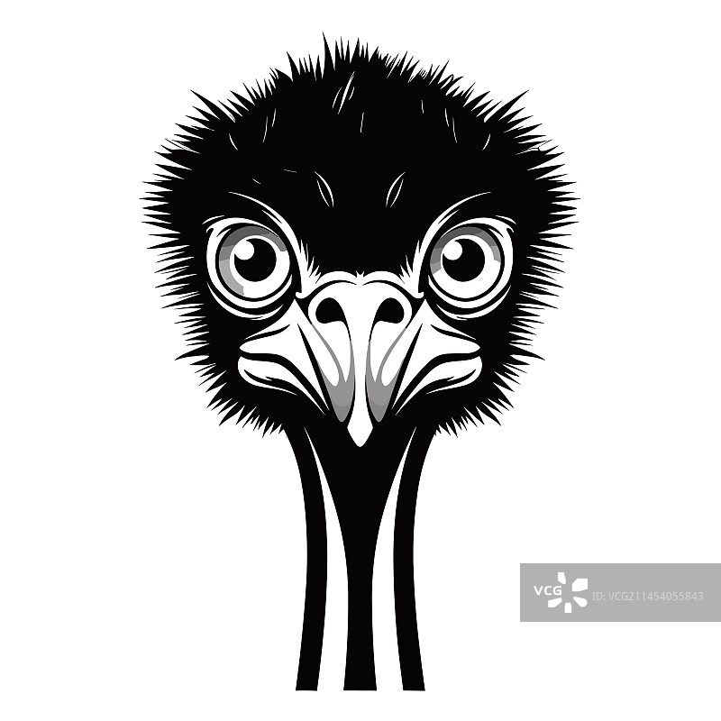 鸵鸟剪影图片素材