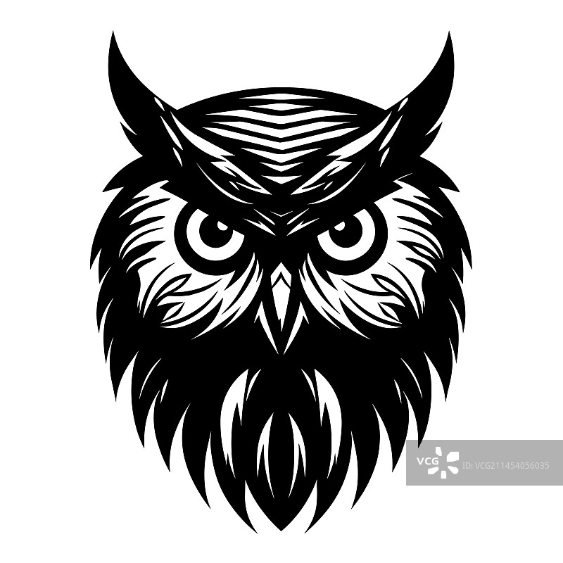 美丽的猫头鹰轮廓图片素材