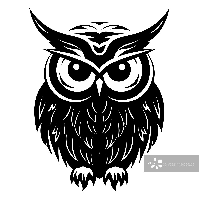 美丽的猫头鹰轮廓图片素材