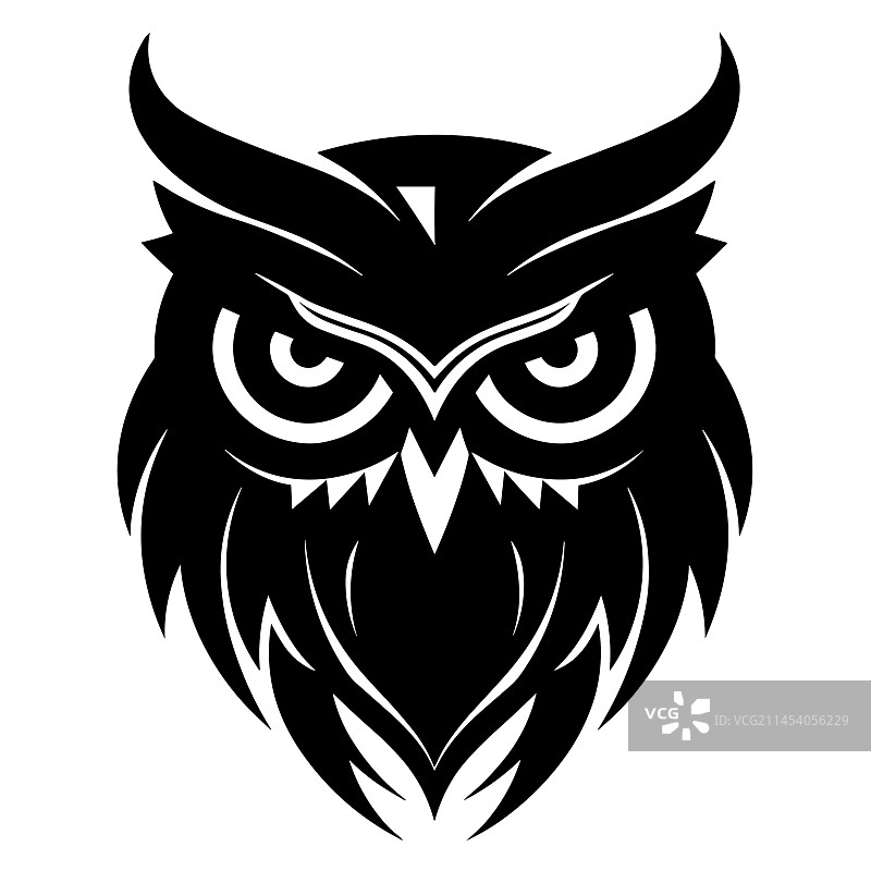 美丽的猫头鹰轮廓图片素材