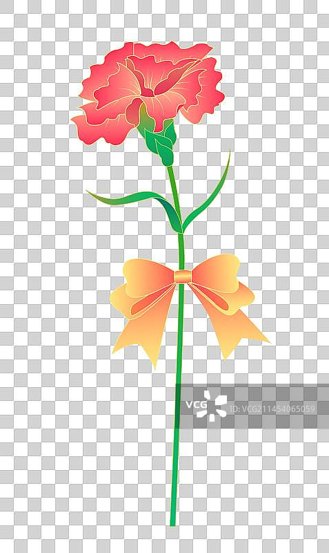 康乃馨蝴蝶结元素插画图片素材