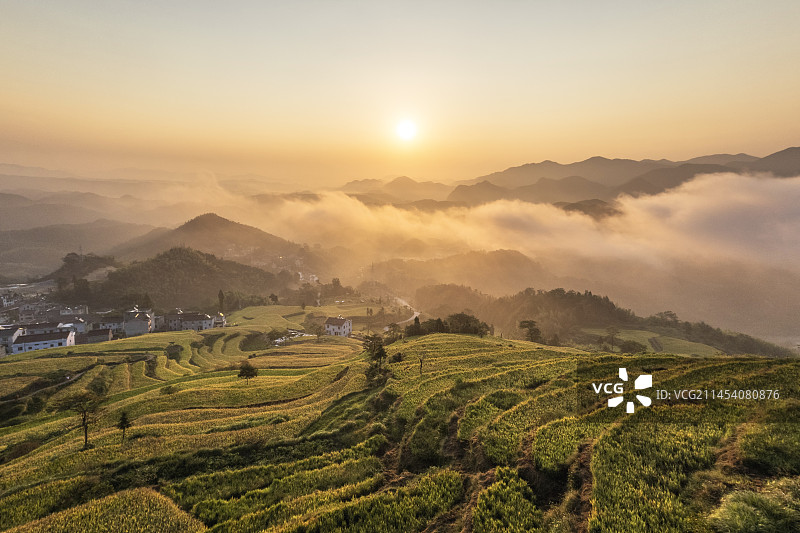 浙江台州天台鎏金梯田图片素材