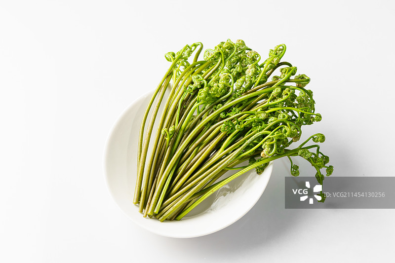 单色背景下的新鲜蕨菜图片素材