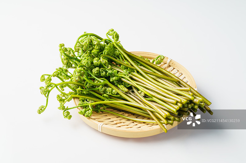 单色背景下的新鲜蕨菜图片素材