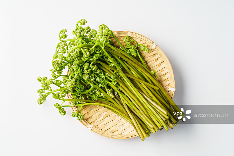 单色背景下的新鲜蕨菜图片素材