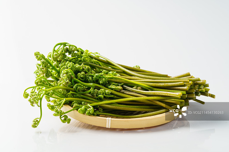 单色背景下的新鲜蕨菜图片素材