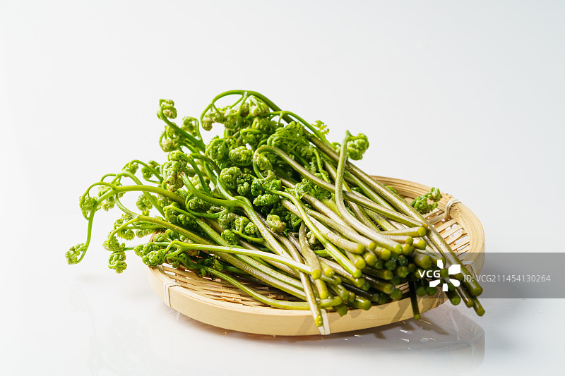 单色背景下的新鲜蕨菜图片素材