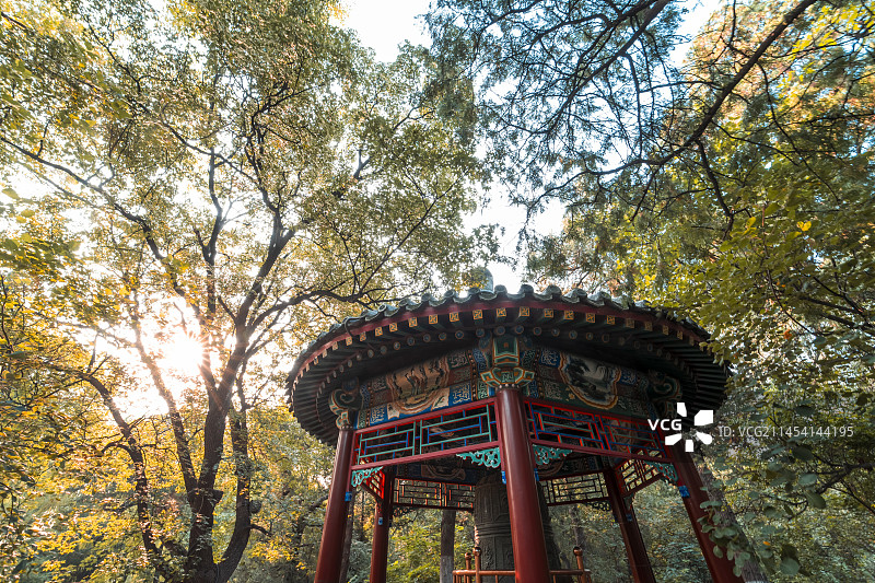 秋色渐浓的钟亭图片素材