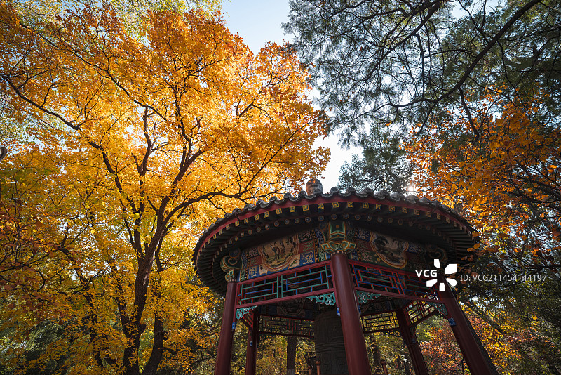 秋日钟亭图片素材