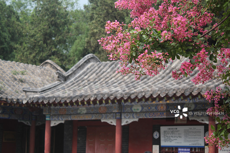 中国古代建筑拍摄主题，山东泰安泰山区泰山风景区万仙楼门口的紫薇开花植物，户外白昼无人图像摄影图片素材