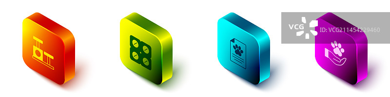 2.5D猫抓板玩具狗组件图片素材