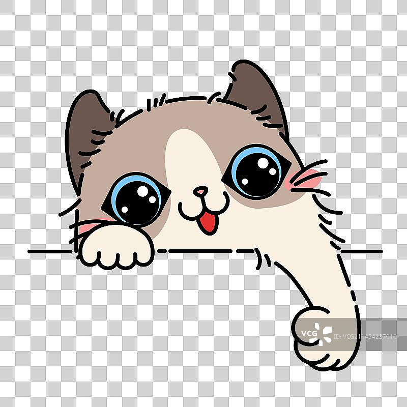 伸手的布偶猫图片素材