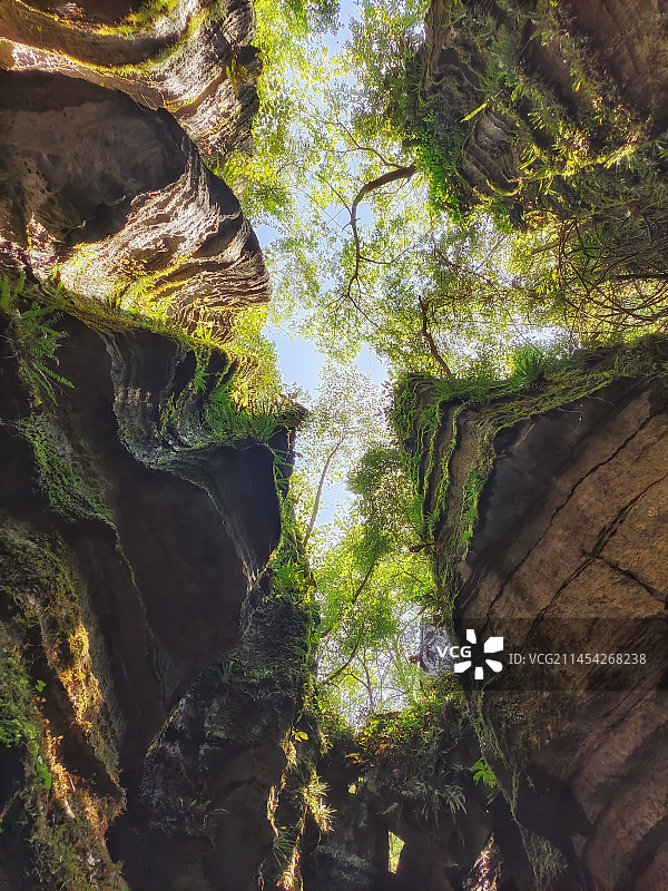 恩施梭布垭石林（恩施风光十四）图片素材