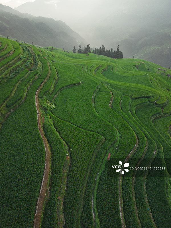 贵州加榜梯田风光图片素材