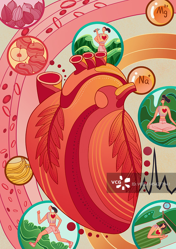 保养心脏插画图片素材