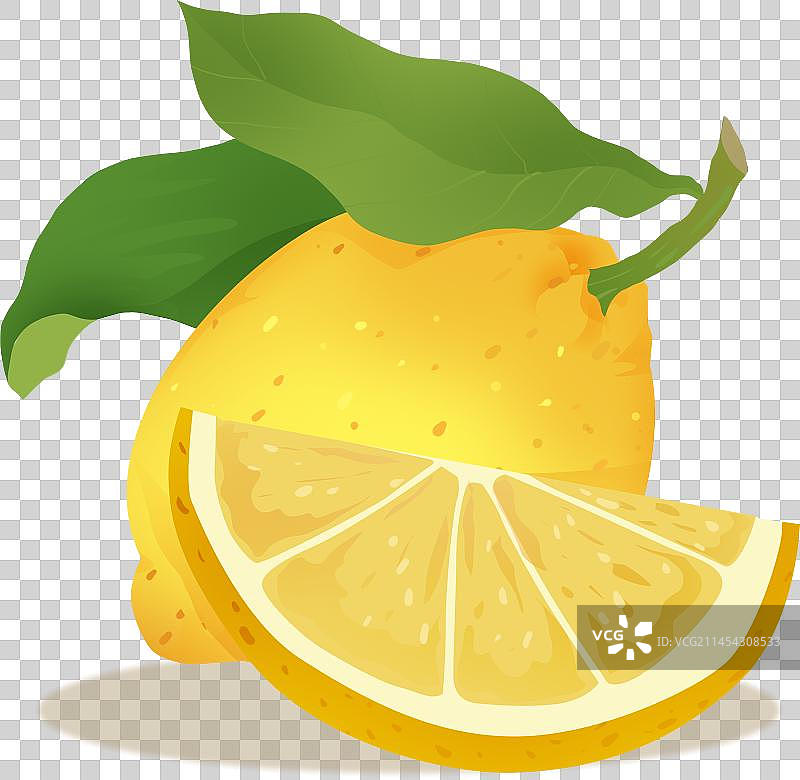插画柠檬元素图片素材