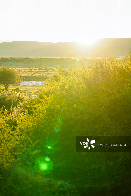 甘南藏族自治州夏河县桑科草原图片素材
