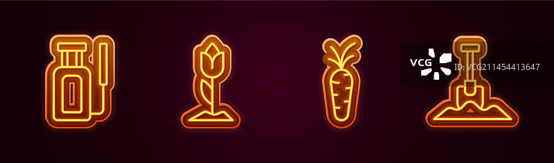 用于郁金香花卉的园林喷雾器图片素材