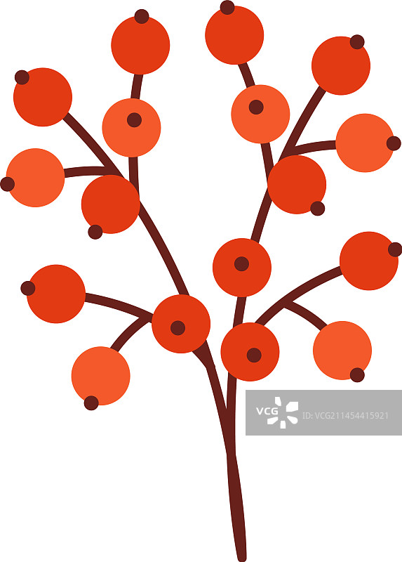 带浆果的树枝图片素材