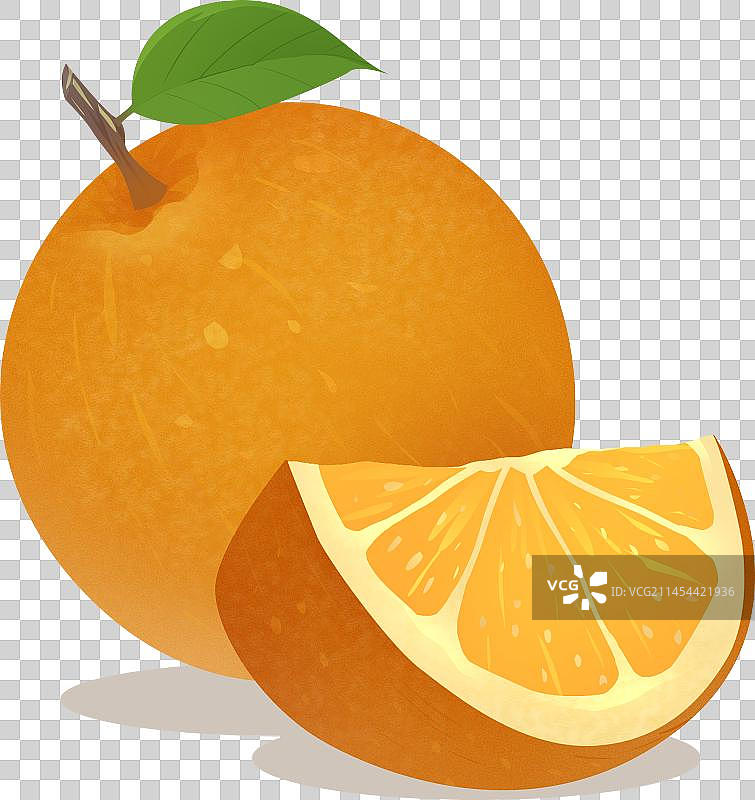 橙子插画元素图片素材