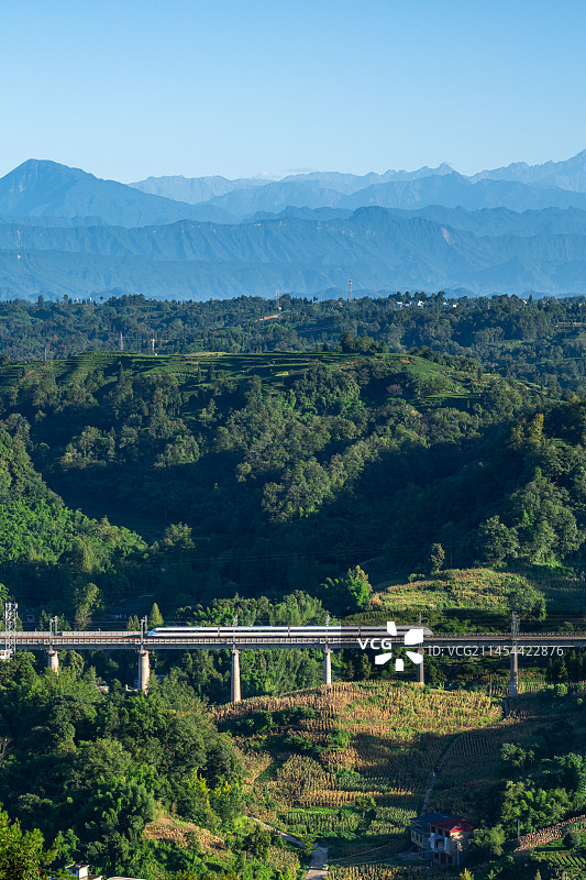 高铁驶过四川雅安茶山图片素材