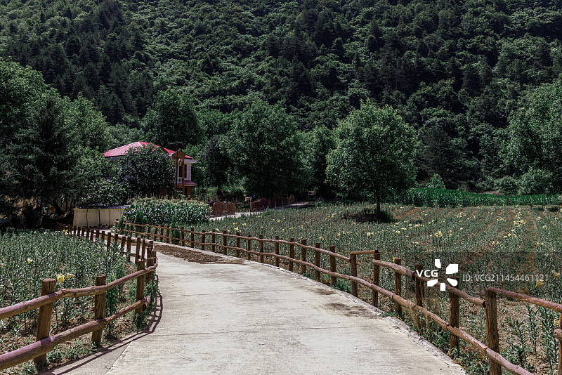 秦岭夏都太白之山里人家图片素材
