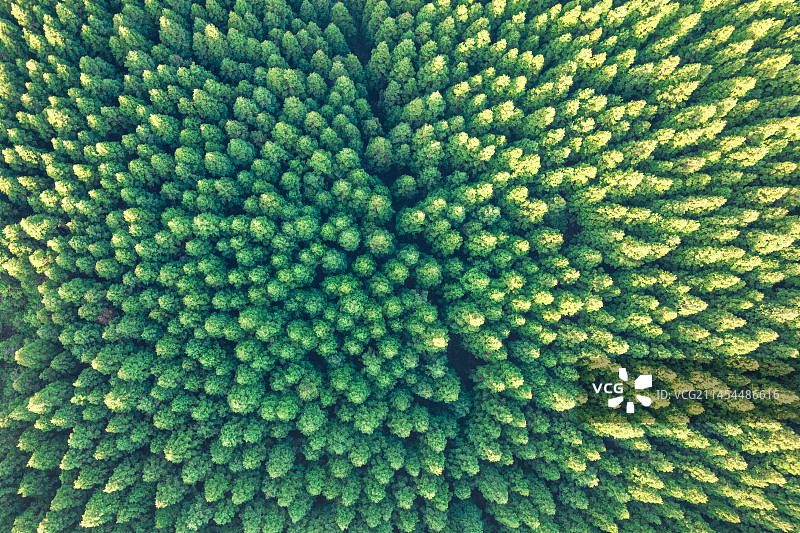 航拍信阳商城黄柏山森林植被图片素材