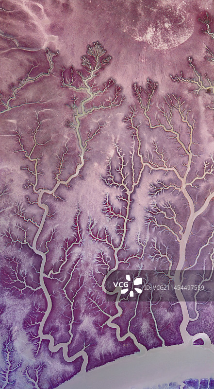 辽宁盘锦红海滩航拍图片素材